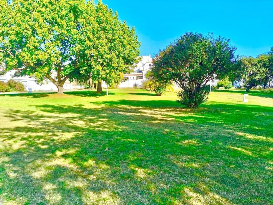 Resort Albufeira T1, Praia Da Oura Eksteriør bilde